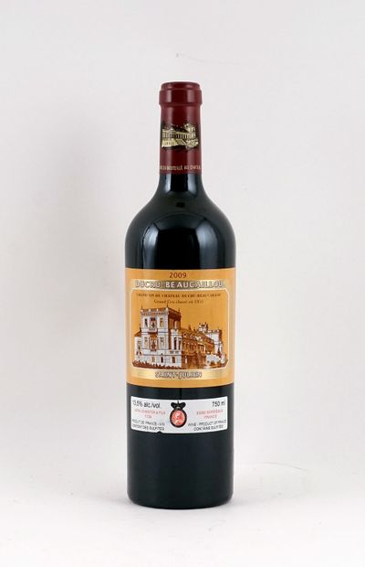 Château Ducru-Beaucaillou 2009 - 1 boute...