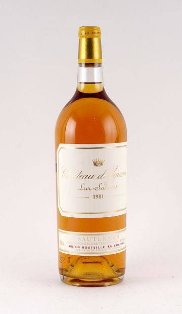 Château d'Yquem 1981 - 1 magnum