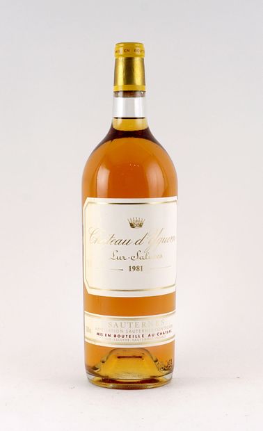 Château d'Yquem 1981 - 1 magnum