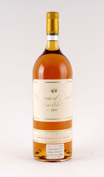 Château d'Yquem 1995 - 1 magnum