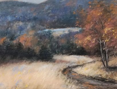 POISSANT, Marc (1945-)
Sans titre - Paysage
Pastel
Signé...