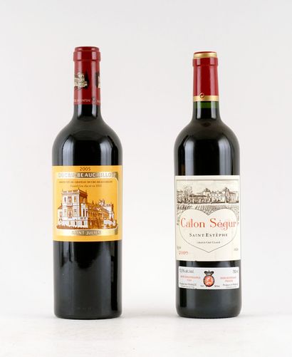 Château Ducru-Beaucaillou 2005 Château Calon...