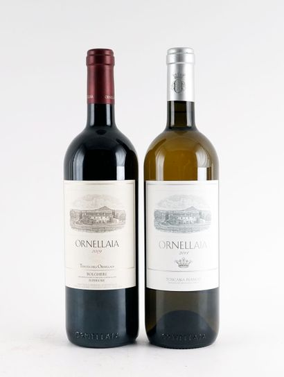 Ornellaia 2009
Bolgheri Superiore D.O.C.
Niveau...