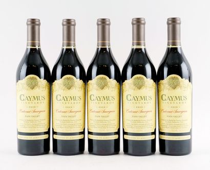 Caymus Cabernet Sauvignon 2019
Napa Valley
Niveau...