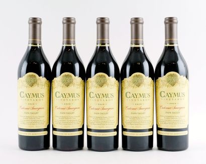 Caymus Cabernet Sauvignon 2019
Napa Valley
Niveau...