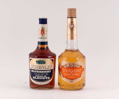 Schenley Blueberry Liqueur 
Niveau A
1 bouteille...
