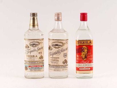 Tequila Sauza
Niveau A, A/C
2 bouteilles...