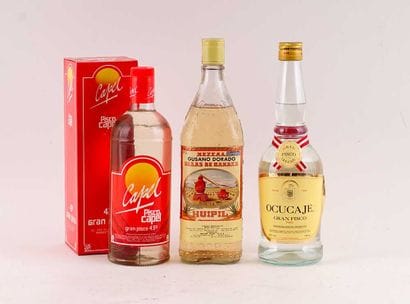 Pisco Capel Gran Pisco
Niveau A/B
1 bouteille...
