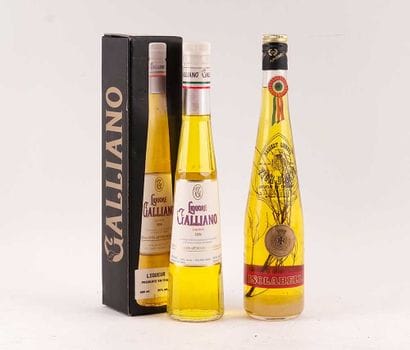 Liqueur Galliano 1896
Niveau A/B
1 bouteille...