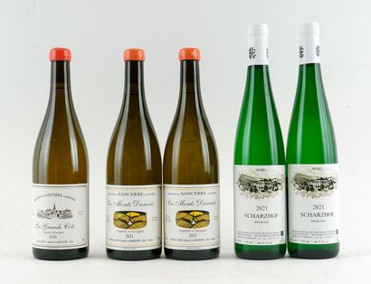 La Grande Côte 2020 (François Cotat), Les...