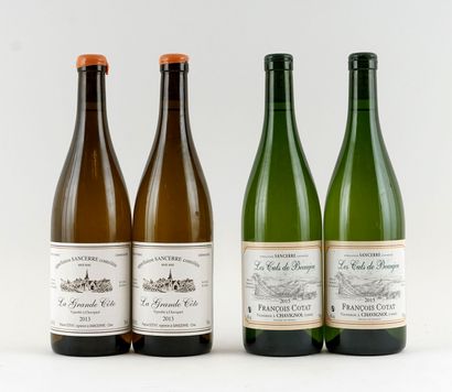 La Grande Côte 2013 (Pascal Cotat) Les Culs...