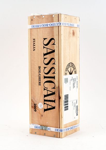 Sassicaia 2009 - 1 magnum