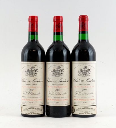 Château Montrose 1983 - 3 bouteilles