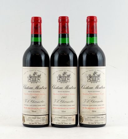 Château Montrose 1983 - 3 bouteilles