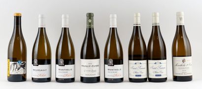 Sélection de Blancs de Bourgogne - 8 bou...