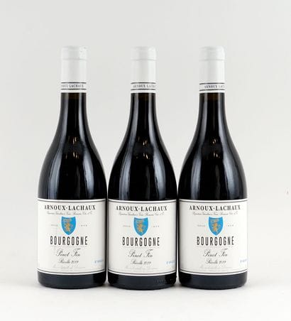 Bourgogne Pinot Fin 2019, Arnoux-Lachaux...