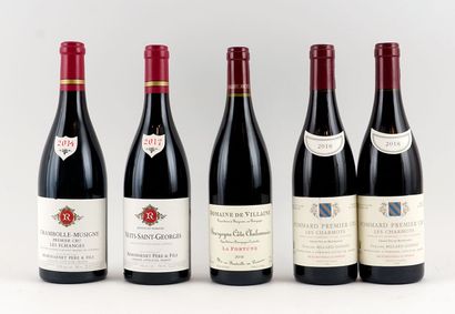 Sélection de Vins de Bourgogne - 5 boute...