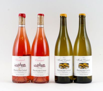 Sancerre Chavignol Rosé 2018 Les Monts Damnés...