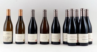 Sélection de Givry 1er Cru par Joblot - 10...