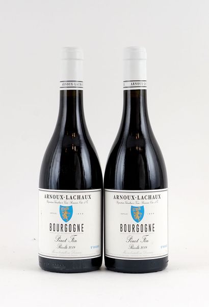 Bourgogne Pinot Fin 2019, Arnoux-Lachaux...