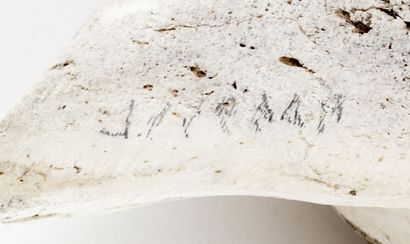 INUIT SCHOOL 20th C.
Face
Whale bone
Inuktitut...