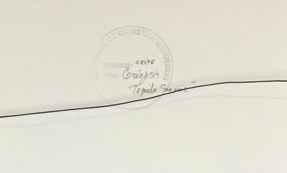 BERGERON, Christian (1945-)
