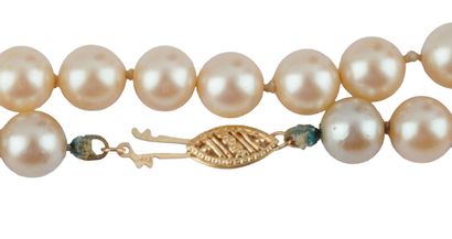 PERLES / PEARLS
Collier composé de perles...