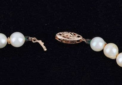 PERLES, OR 14K / PEARLS, 14K GOLD 
Collier...