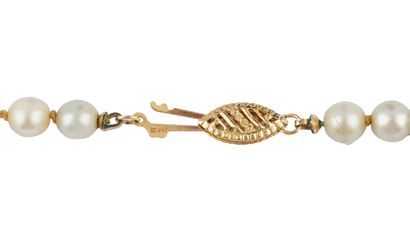PERLES, OR 14K / PEARLS, 14K GOLD
Collier...