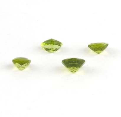 PÉRIDOTS / PERIDOTS
Lot de 3 (trois) peridots...