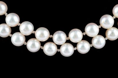 PERLES / PEARLS
Collier composé de perles...