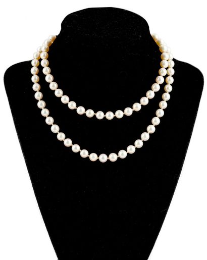 PERLES / PEARLS
Collier composé de perles...