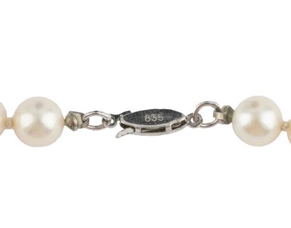 PERLES / PEARLS
Collier composé de perles...