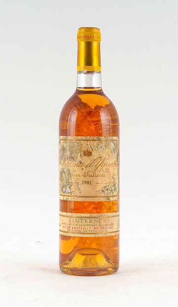Château d'Yquem 1981 - 1 bouteille
