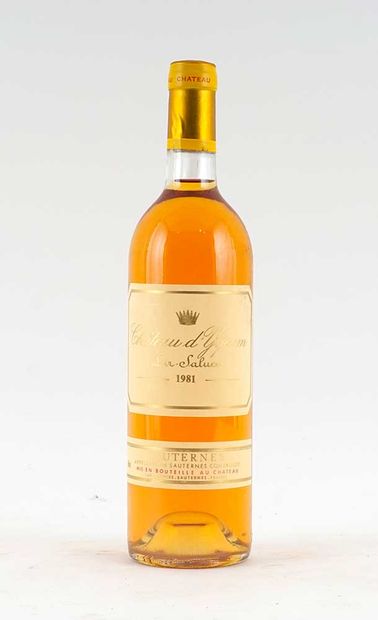 Château d'Yquem 1981 - 1 bouteille
