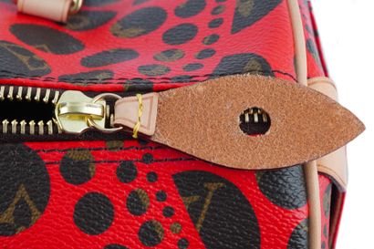 LOUIS VUITTON x YAYOI KUSAMA PAPILLON 30
Louis...