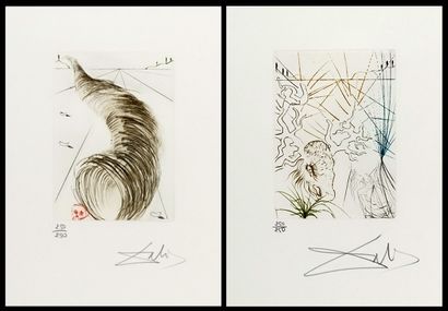 DALI, Salvador (1904-1989) 
