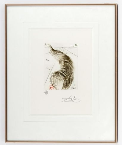 DALI, Salvador (1904-1989) 
