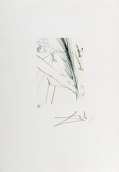 DALI, Salvador (1904-1989) 
