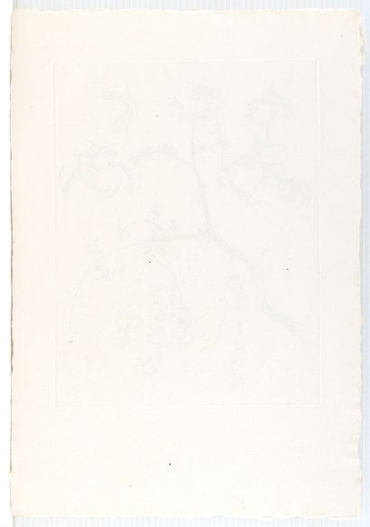 BEAULIEU, Paul-Vanier (1910-1996)
