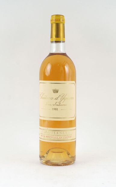 Château d'Yquem 1981 - 1 bouteille