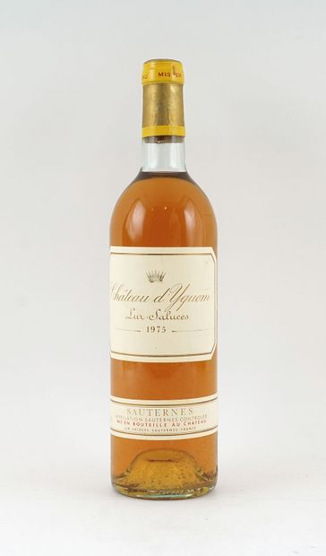 Château d'Yquem 1975 - 1 bouteille