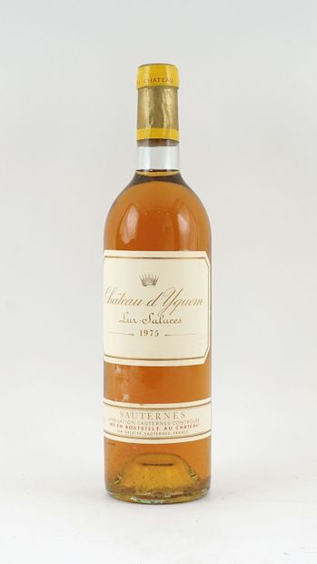 Château d'Yquem 1975 - 1 bouteille