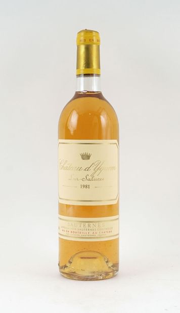 Château d'Yquem 1981 - 1 bouteille