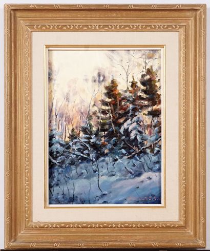 MONTPETIT, Richard (1950 - )
