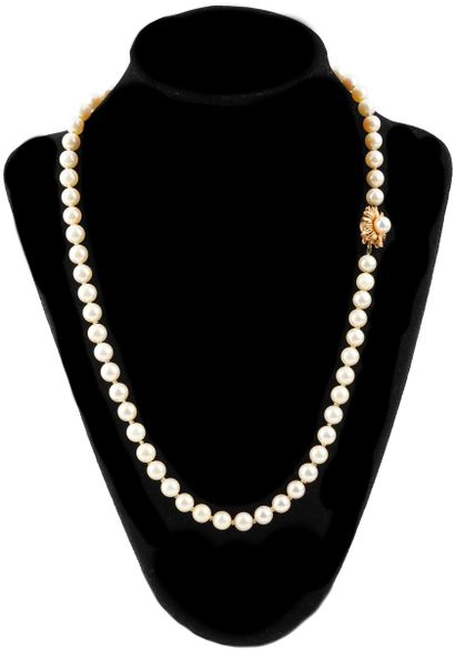 PERLES, OR 14K / PEARLS, 14K GOLD
Collier...
