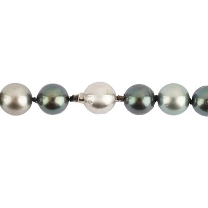 PERLES TAHITI / TAHITI PEARLS
Collier composé...