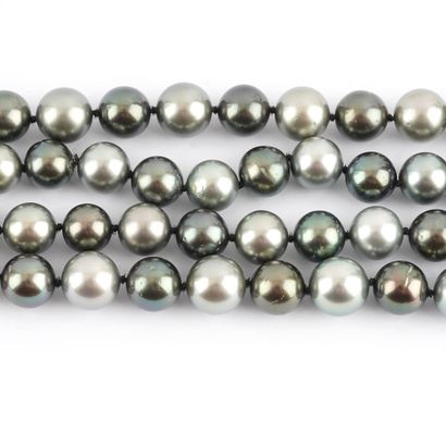 PERLES TAHITI / TAHITI PEARLS
Collier composé...