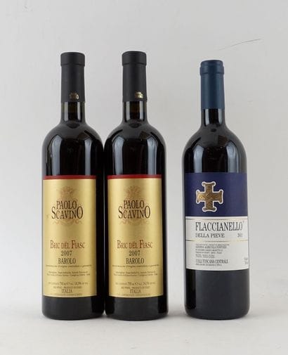 Paolo Scavino Bric dël Fiasc 2007 Flaccianello...