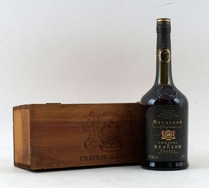 Cognac Napoléon Château de Beaulon - 1 b...